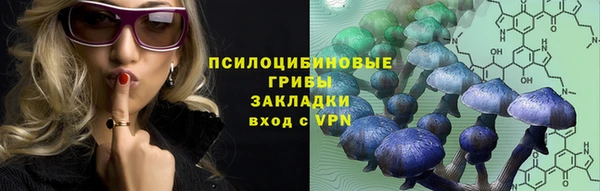 индика Алзамай