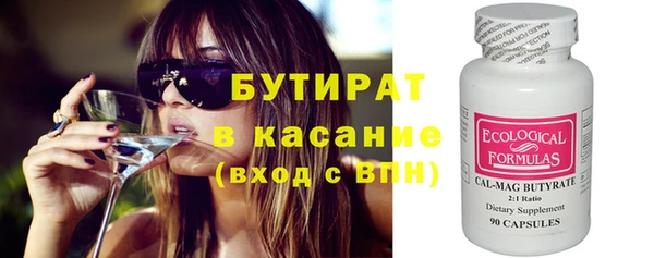 индика Алзамай