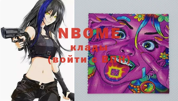 индика Алзамай