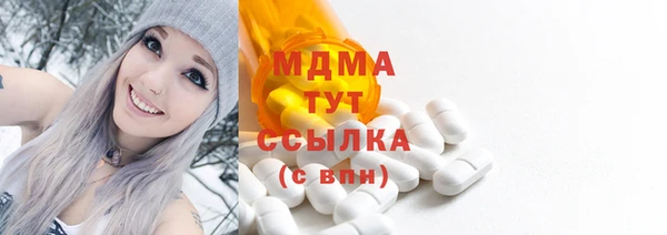 индика Алзамай