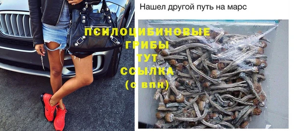 молекула духа Алексин