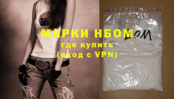 индика Алзамай