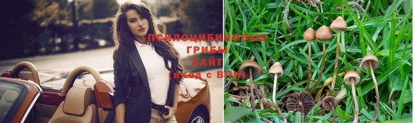спиды Анива