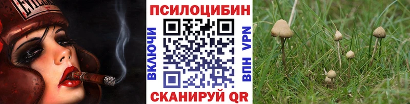 blacksprut ссылки  мориарти какой сайт  Галлюциногенные грибы мицелий  Карабулак 